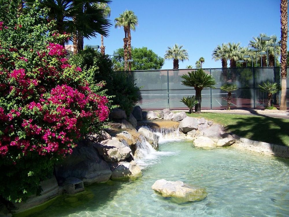 The Oasis Resort パーム・スプリングス 設備 写真