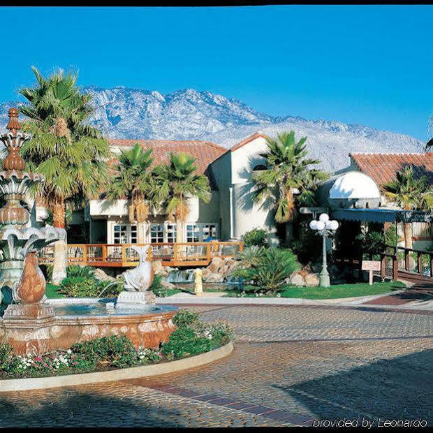 The Oasis Resort パーム・スプリングス エクステリア 写真